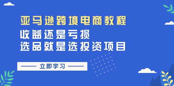 （11432期）亚马逊跨境电商教程：收益还是亏损！选品就是选投资项目-<a href=
