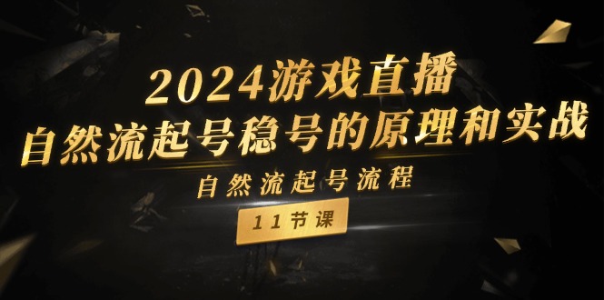 （11653期）2024游戏直播-自然流起号稳号的原理和实战，自然流起号流程（11节）-<a href=