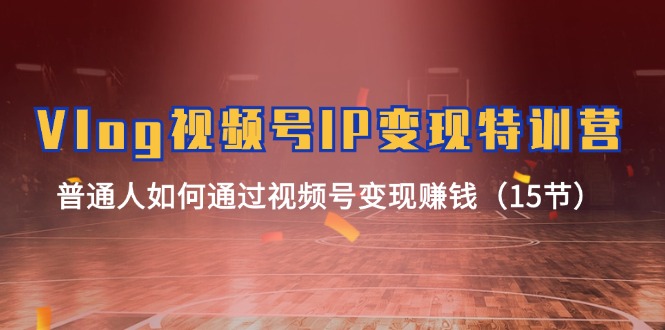 （11654期）Vlog 视频号IP变现特训营，普通人如何通过视频号变现赚钱（15节）-<a href=