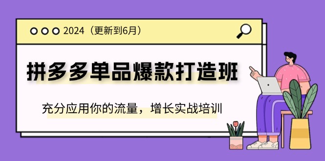 2024拼多多单品爆款打造班，充分应用你的流量，增长实战培训(更新6月)-<a href=