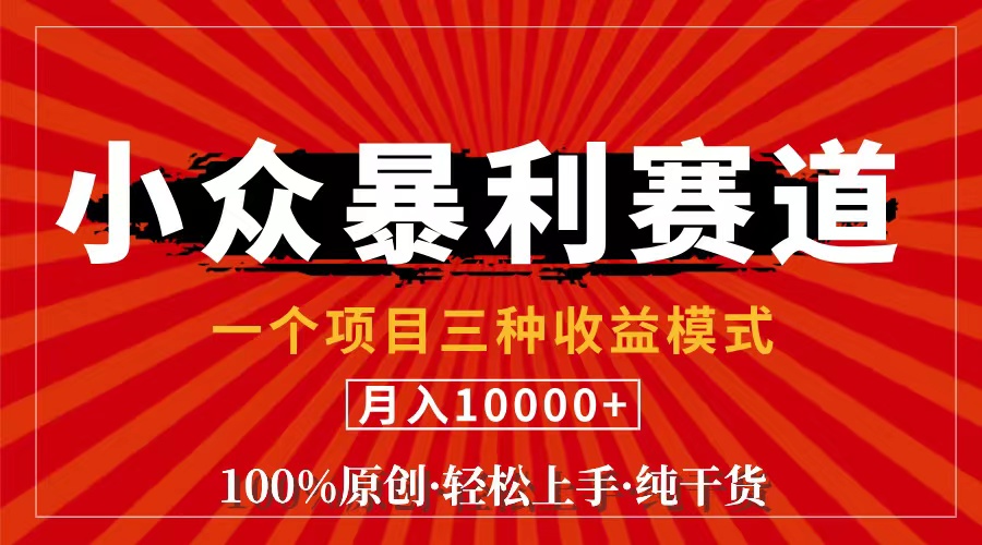 （11695期）视频号【中老年粉深信不疑】小众赛道 100%原创 手把手教学 新号3天收益…-<a href=