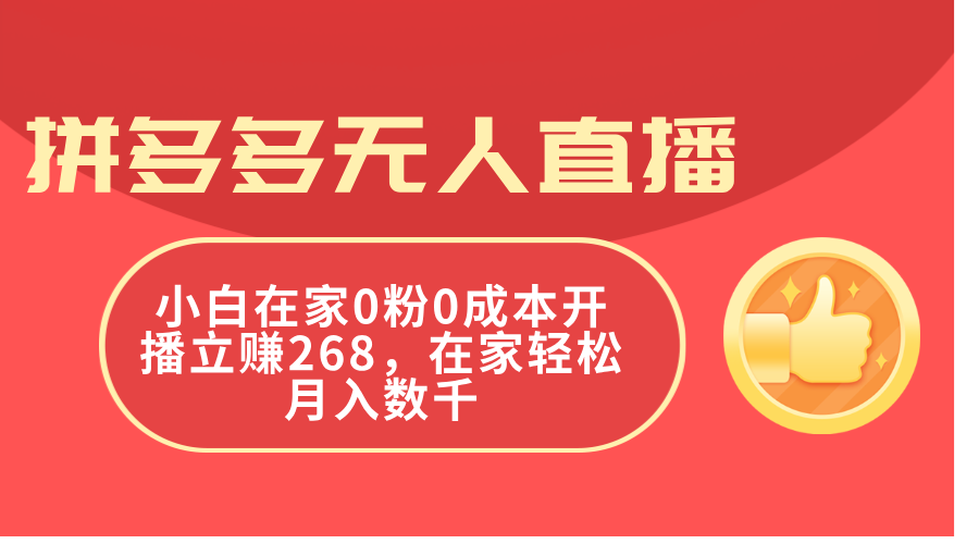 （11521期）拼多多无人直播，小白在家0粉0成本开播立赚268，在家轻松月入数千-<a href=