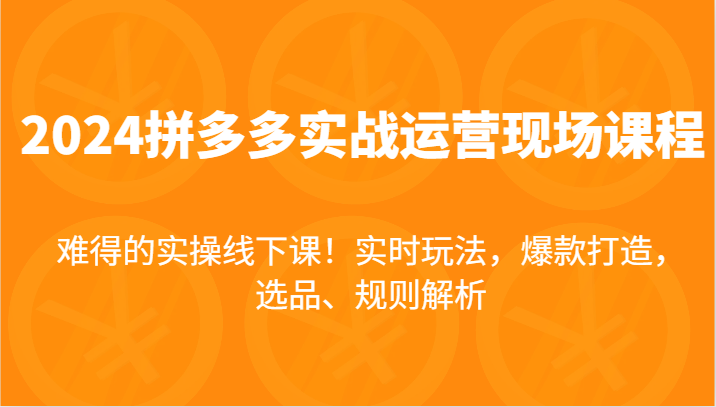 2024拼多多实战运营现场课，实时玩法，爆款打造，选品、规则解析，难得的实操线下课！-<a href=
