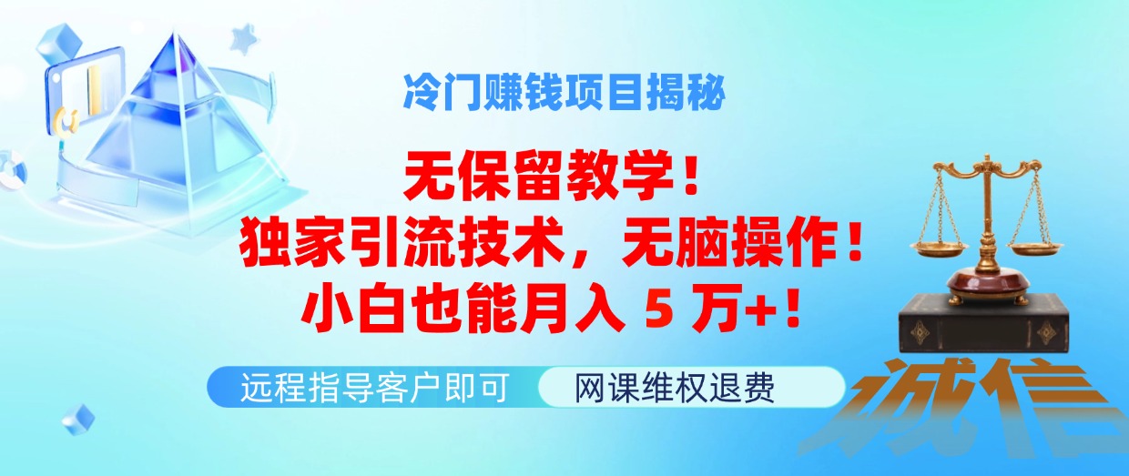 （11864期）冷门赚钱项目无保留教学！独家引流技术，无脑操作！小白也能月入5万+！-白戈学堂