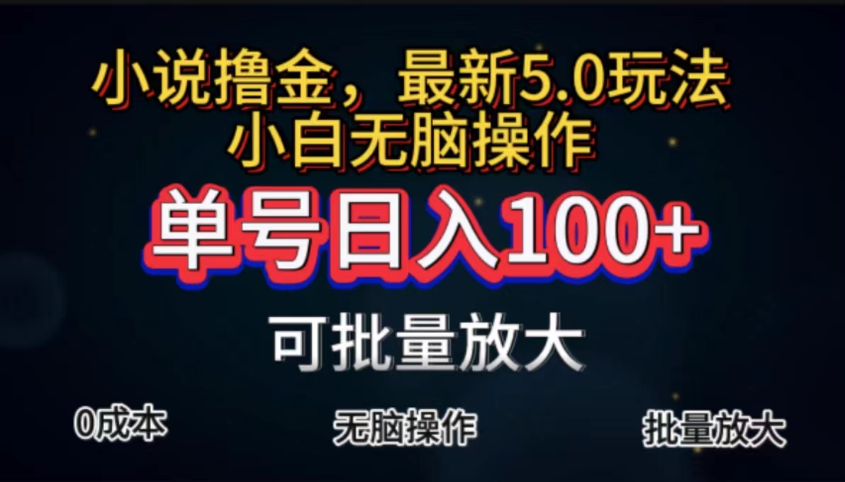 （11651期）全自动小说撸金，单号日入100+小白轻松上手，无脑操作-<a href=