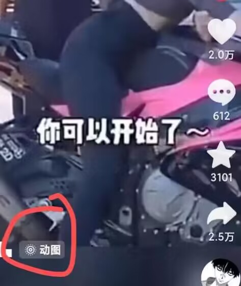 2024年7月苹果手机动图搬运技术-<a href=