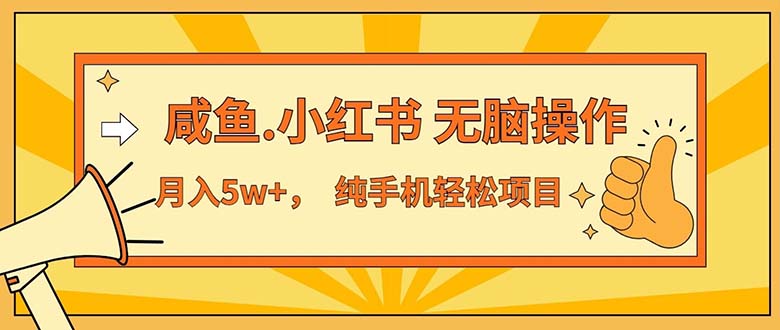（11524期）2024最赚钱的项目，咸鱼，小红书无脑操作，每单利润500+，轻松月入5万+…-<a href=