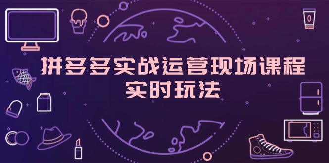 （11759期）拼多多实战运营现场课程，实时玩法，爆款打造，选品、规则解析-<a href=