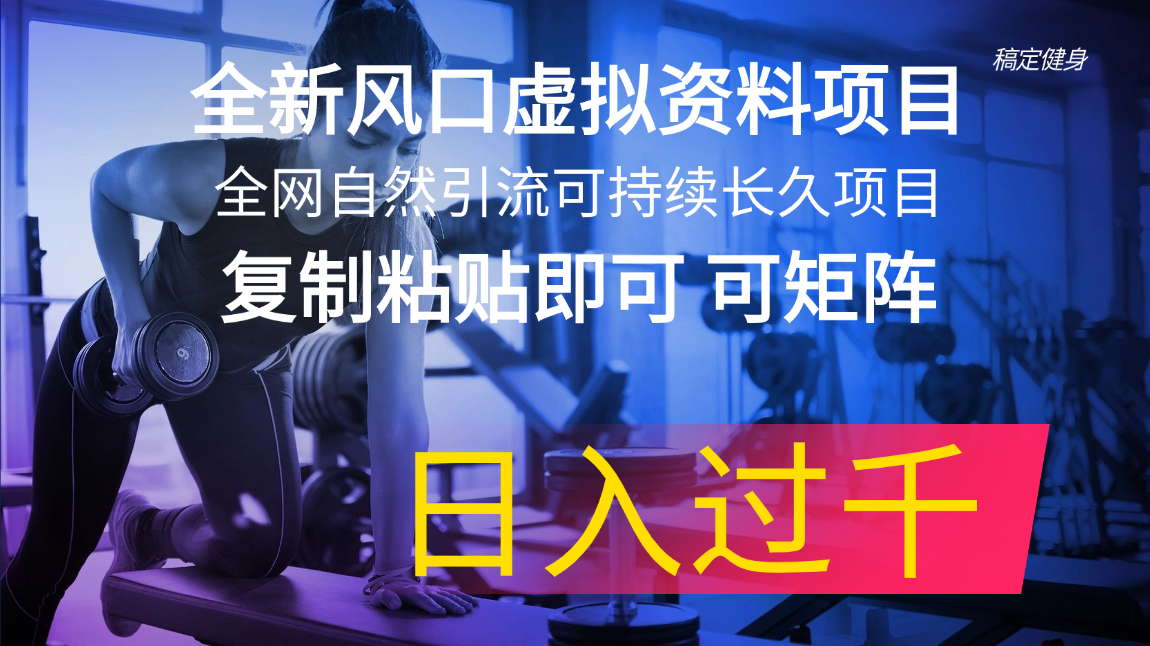 （11587期）全新风口虚拟资料项目 全网自然引流可持续长久项目 复制粘贴即可可矩阵…-<a href=