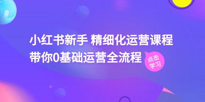 小红书新手精细化运营课程，带你0基础运营全流程（42节视频课）-<a href=
