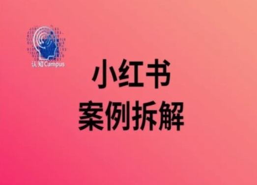 小红书案例拆解，深度解读小红书40万粉-白戈学堂