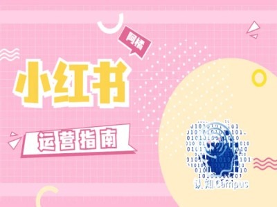 小红书运营指南，没有套路，全是经验-白戈学堂