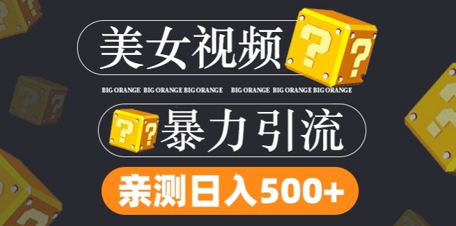 搬运tk美女视频全网分发，日引s粉300+，轻松变现，不限流量不封号-白戈学堂