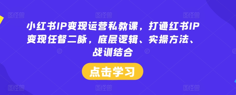 小红书IP变现运营私教课，打通红书IP变现任督二脉，底层逻辑、实操方法、战训结合-白戈学堂