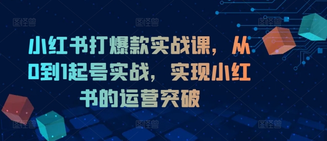 小红书打爆款实战课，从0到1起号实战，实现小红书的运营突破-白戈学堂