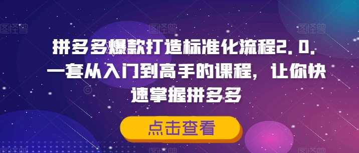 拼多多爆款打造标准化流程2.0，一套从入门到高手的课程，让你快速掌握拼多多-白戈学堂