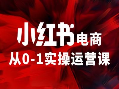 小红书电商从0-1实操运营课，让你从小白到精英-白戈学堂