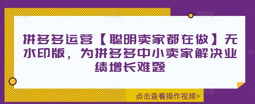 拼多多运营【聪明卖家都在做】无水印版，为拼多多中小卖家解决业绩增长难题-白戈学堂