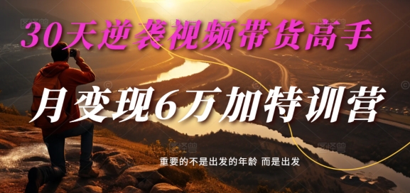 30天逆袭视频带货高手，单月变现6万加特训营-麦子甜-白戈学堂