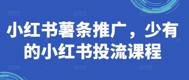 小红书薯条推广，少有的小红书投流课程-白戈学堂