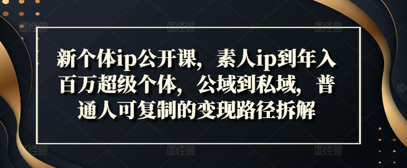 新个体ip公开课，素人ip到年入百万超级个体，公域到私域，普通人可复制的变现路径拆解-白戈学堂