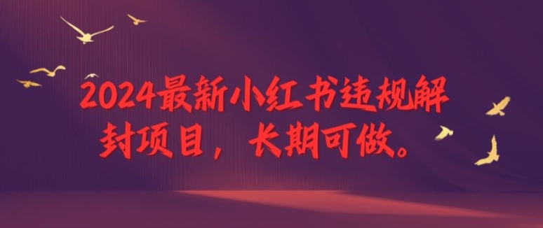 2024最新小红书违规解封项目，长期可做，一个可以做到退休的项目-白戈学堂