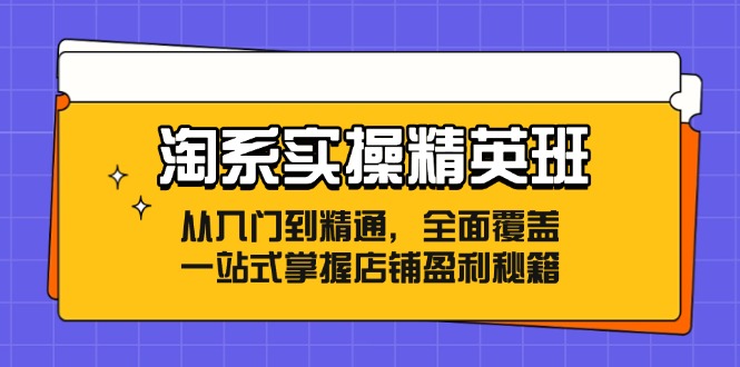 （12276期）淘系实操精英班：从入门到精通，全面覆盖，一站式掌握店铺盈利秘籍-白戈学堂