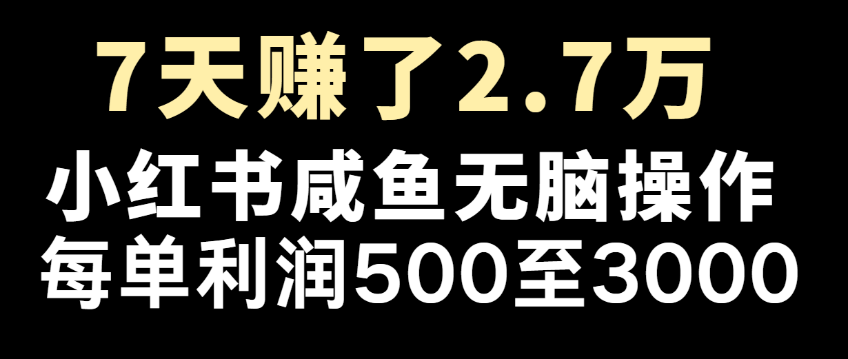 七天赚了2.7万！每单利润最少500+，轻松月入5万+小白有手就行-白戈学堂