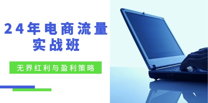 电商流量实战班：无界红利与盈利策略，终极提升/关键词优化/精准人群拓展/创新玩法-白戈学堂