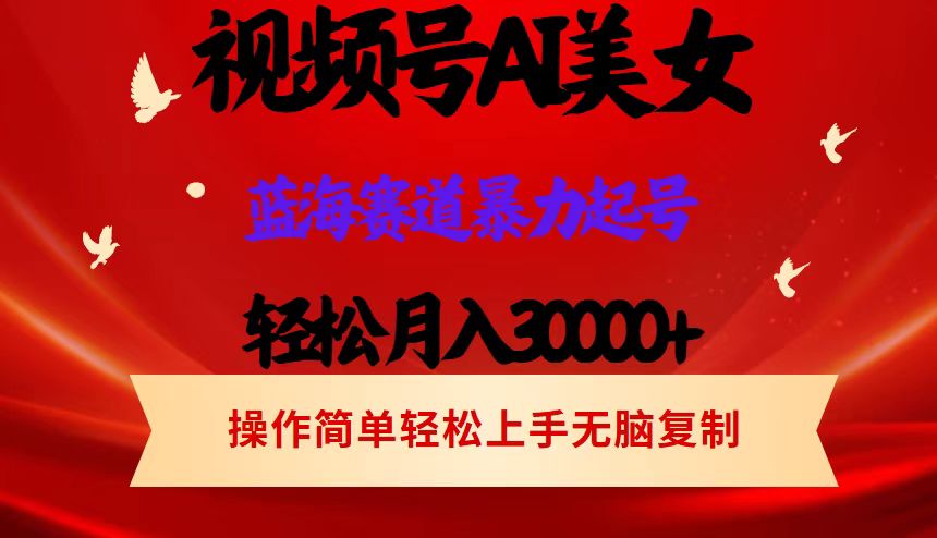 （12178期）视频号AI美女跳舞，轻松月入30000+，蓝海赛道，流量池巨大，起号猛，当…-白戈学堂