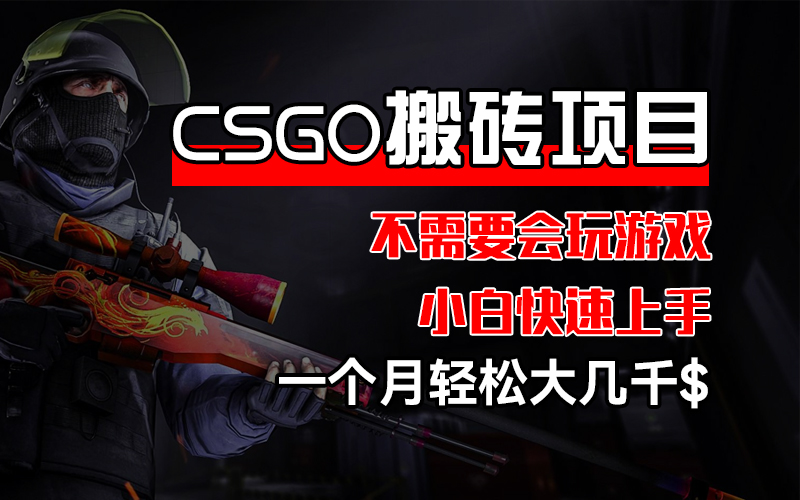 （12332期）CSGO 装备搬砖项目，操作简单，不需要会玩游戏，小白也能快速上手，一…-白戈学堂