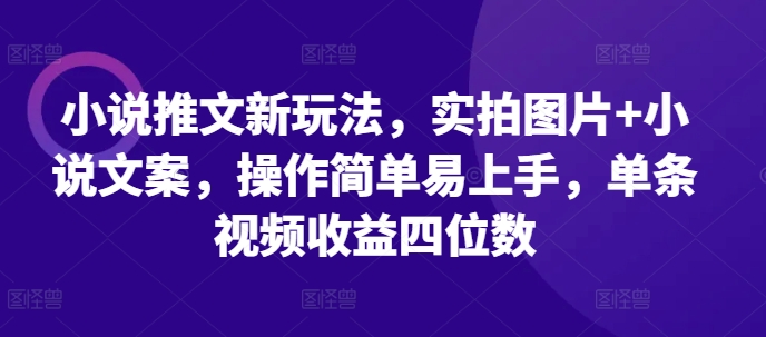 小说推文新玩法，实拍图片+小说文案，操作简单易上手，单条视频收益四位数-白戈学堂