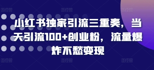 小红书独家引流三重奏，当天引流100+创业粉，流量爆炸不愁变现-白戈学堂