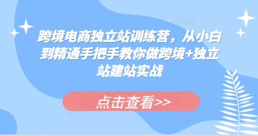 跨境电商独立站训练营，从小白到精通手把手教你做跨境+独立站建站实战-白戈学堂