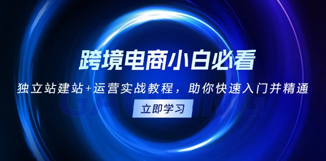 （13503期）跨境电商小白必看！独立站建站+运营实战教程，助你快速入门并精通-白戈学堂