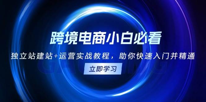 跨境电商小白必看！独立站建站+运营实战教程，助你快速入门并精通-白戈学堂