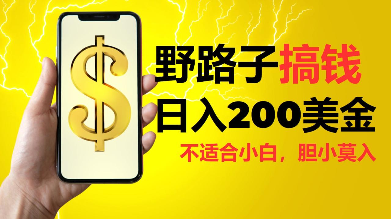 挂机野路子搞钱，日入200美金，路子很野，小白莫入-白戈学堂