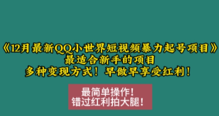 12月最新QQ小世界短视频暴力起号项目，最适合新手的项目，多种变现方式-白戈学堂