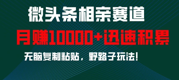 微头条相亲赛道，迅速积累，无脑复制粘贴，野路子玩法，月入1w-白戈学堂