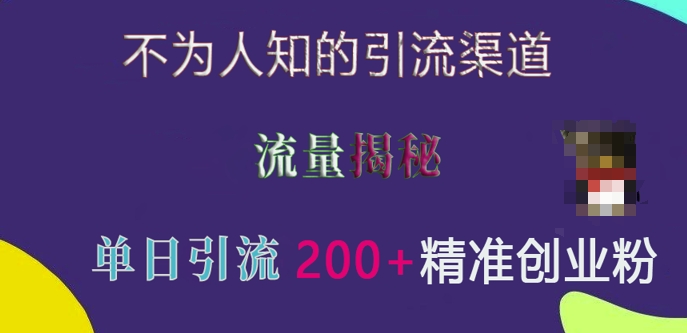 不为人知的引流渠道，流量揭秘，实测单日引流200+精准创业粉-白戈学堂