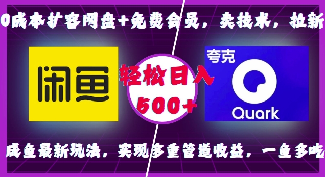 0成本扩容网盘+免费会员，卖技术，拉新，咸鱼最新玩法，实现多重管道收益，一鱼多吃，轻松日入500+-白戈学堂