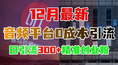 12月最新：音频平台0成本引流，日引流300+精准创业粉-白戈学堂