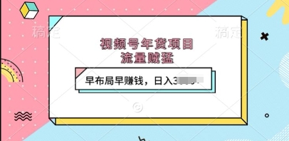 视频号年货项目，流量贼猛，早布局早挣钱，日入上k-白戈学堂