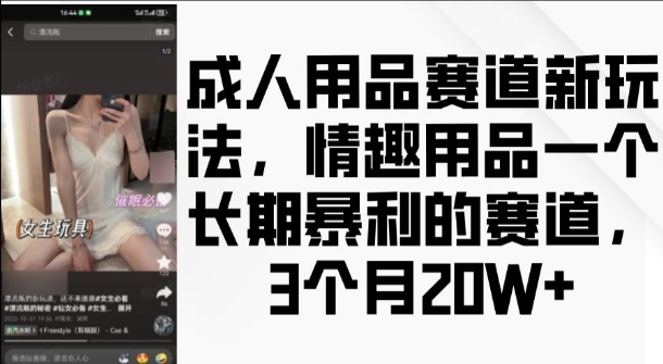 成人用品赛道新玩法，情趣用品一个长期暴利的赛道，3个月收益20个-白戈学堂