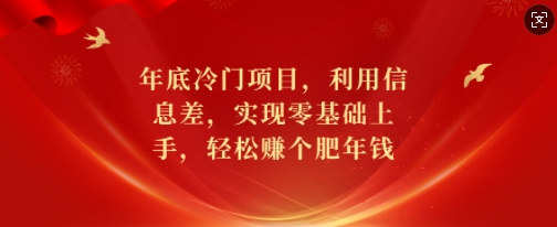 年底冷门项目，利用信息差，实现零基础上手，轻松赚个肥年钱-白戈学堂