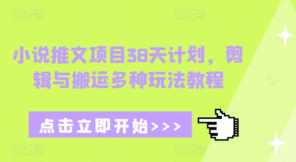 小说推文项目38天计划，剪辑与搬运多种玩法教程-白戈学堂