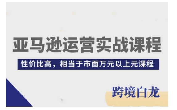 亚马逊运营实战课程，亚马逊从入门到精通，性价比高，相当于市面万元以上元课程-白戈学堂