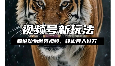 利用动物世界解说视频，赚分成计划收益，轻松月入过W，操作简单-白戈学堂