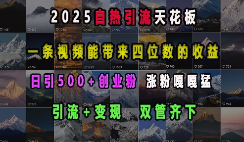 2025自热引流天花板，一条视频能带来四位数的收益，引流+变现双管齐下，日引500+创业粉，涨粉嘎嘎猛-白戈学堂