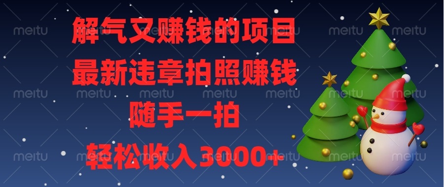 （13804期）解气又赚钱的项目，最新违章拍照赚钱，随手一拍，轻松收入3000+-白戈学堂